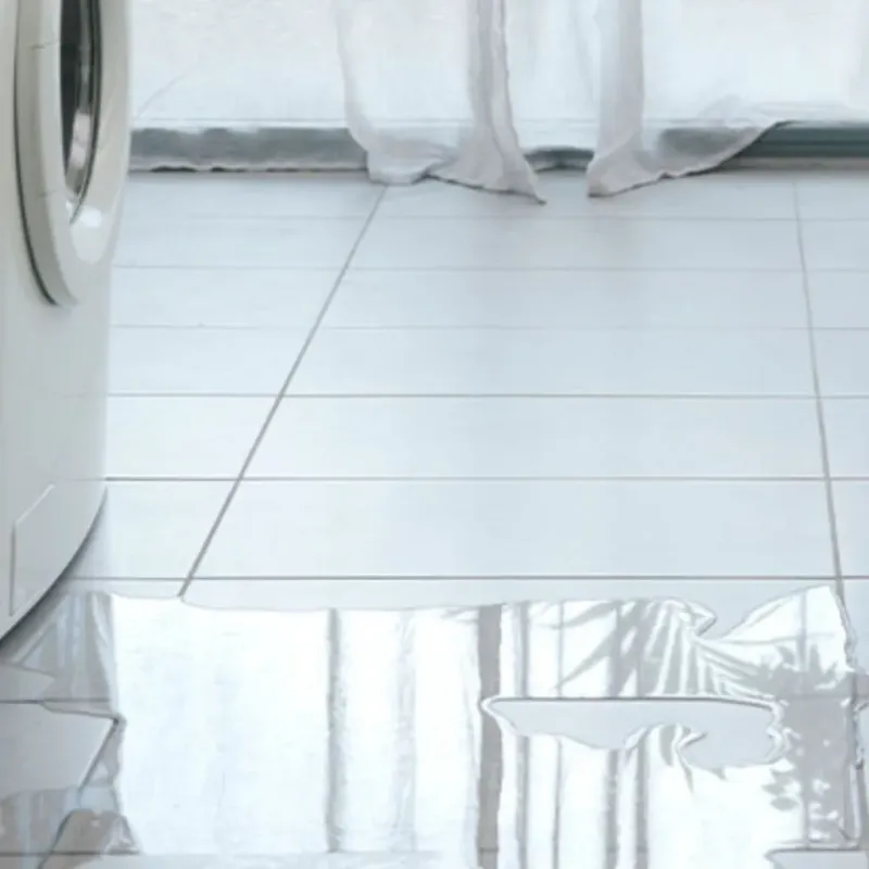Appliance Leak Cleanup in Carrollton, MO