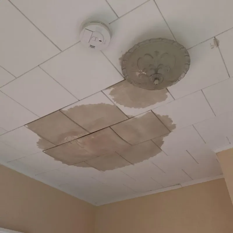 Ceiling Water Damage Repair in Carrollton, MO